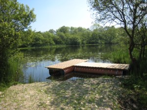 Sunny day at the course fishing lake at Holistic Retreat Centre Embrace, Killinchy, County Down, Northern Ireland